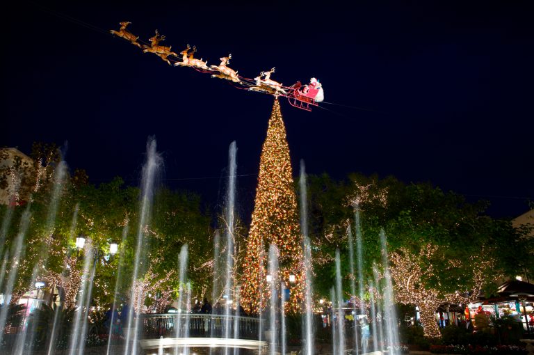 Best Holiday Events and Activities in Los Angeles The Barnes Firm